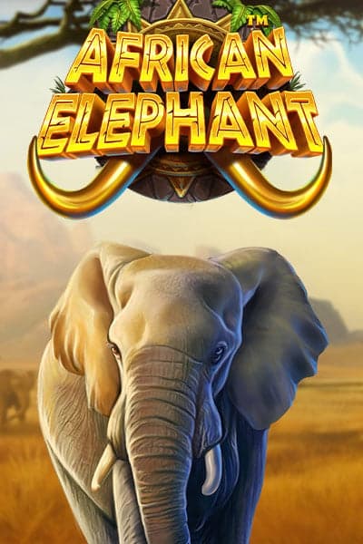 African Elephant™